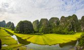 Ninh Binh Tours