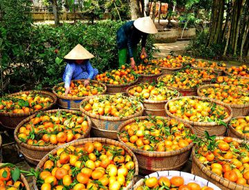 Authentic Mekong - Lai Vung - Long Xuyen