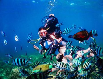 Fun Diving in Nha Trang