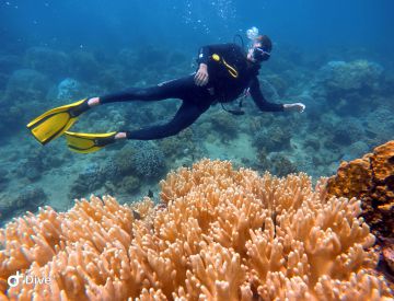 Fun Diving in Phu Quoc