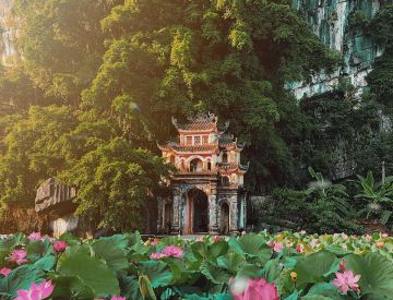 Hoa Lu - Tam Coc Deluxe Tour by limousine