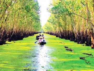Mekong Delta &Tra Su Sanctuary