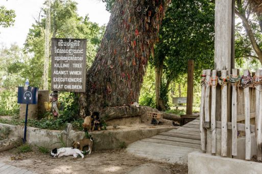 Killing Fields