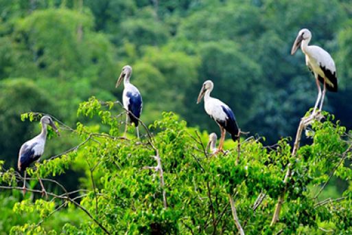 Bang Lang Stork Garden