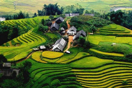 Cat Cat Village