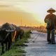 Hoi An Explore Countryside Private Tour 
