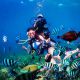 Fun Diving in Nha Trang