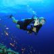 Diving In Cham Island For Non – Certified Divers